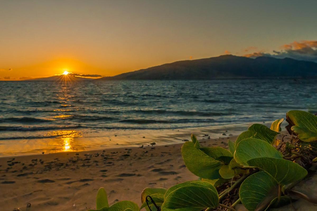 Maui Sunset B-115 Apartment Kihei Exterior photo